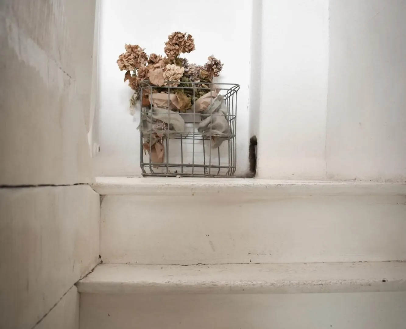 Apartment B&B Cucu Nismozza Busana Italy